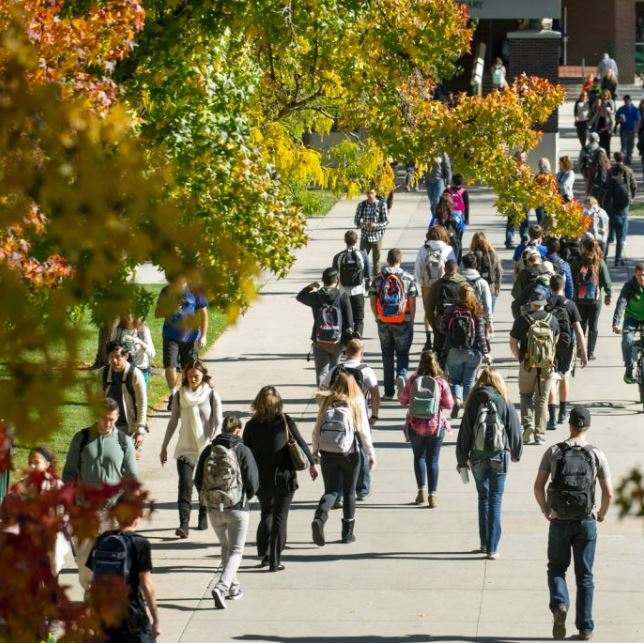 Students walking on campus