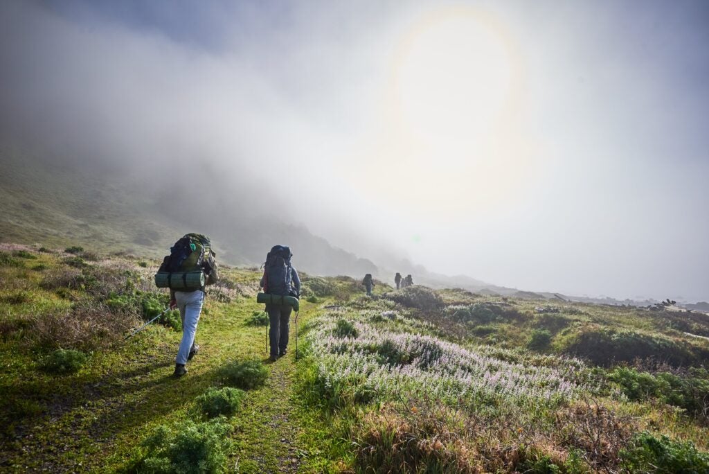 Hikers with large backpacks hike along foggy mountains. 