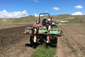 Farmers riding on tractor