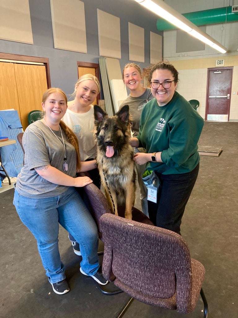 Four students interacting with a dog at the Idaho Humane Society. 