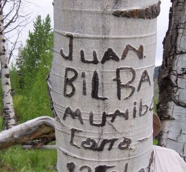 tree carving
