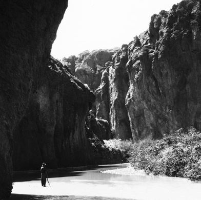 Canyon scene