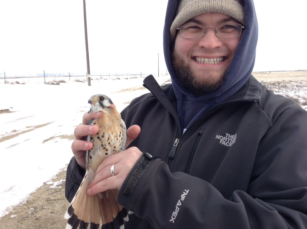 B Pauli holding a Kestrel
