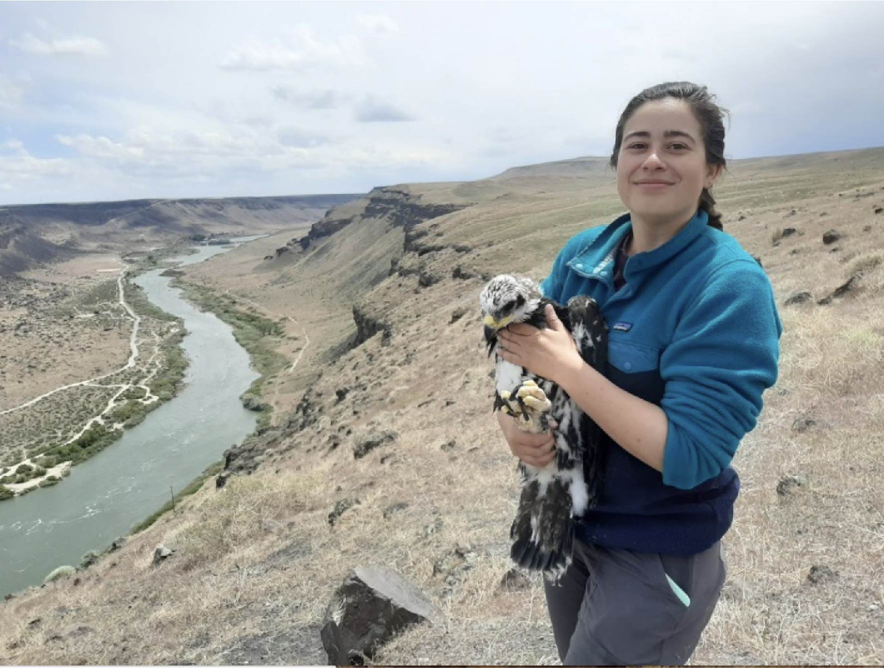 Ashley holding a young eagle on the cliff of the snake river