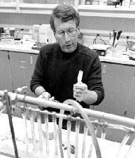Alfred working in the lab