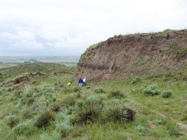 Grassy landscape with field researchers