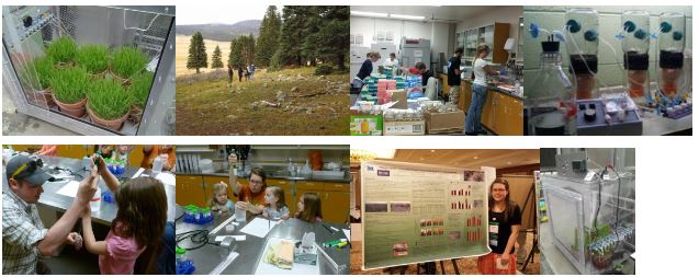 Collage of photos showing de Graaff's work and community outreach