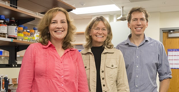 COBRE faculty