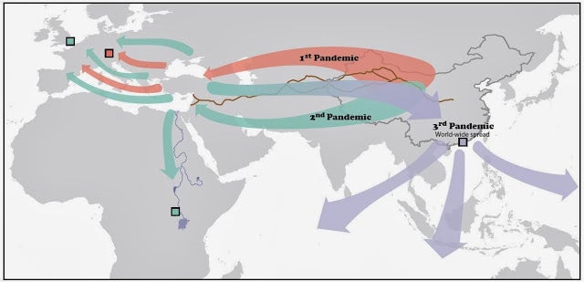 map depicting three waves of pandemic and their spread