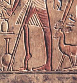 Close up of man's foot in stele, photo