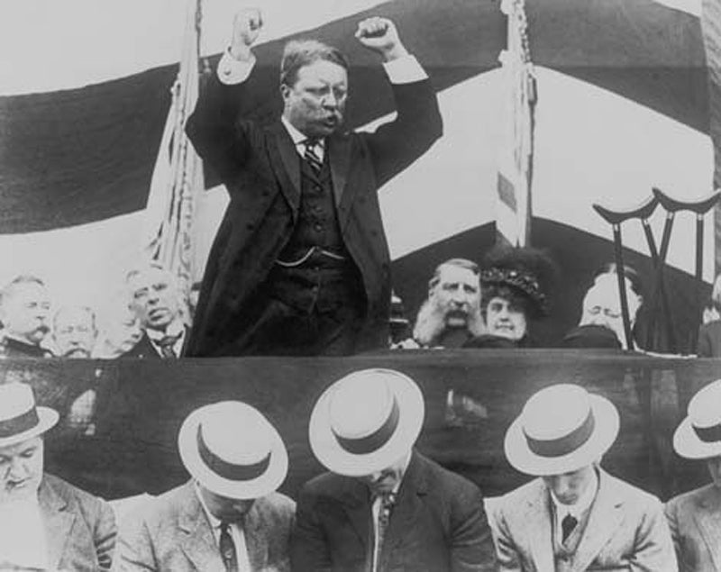 teddy roosevelt
