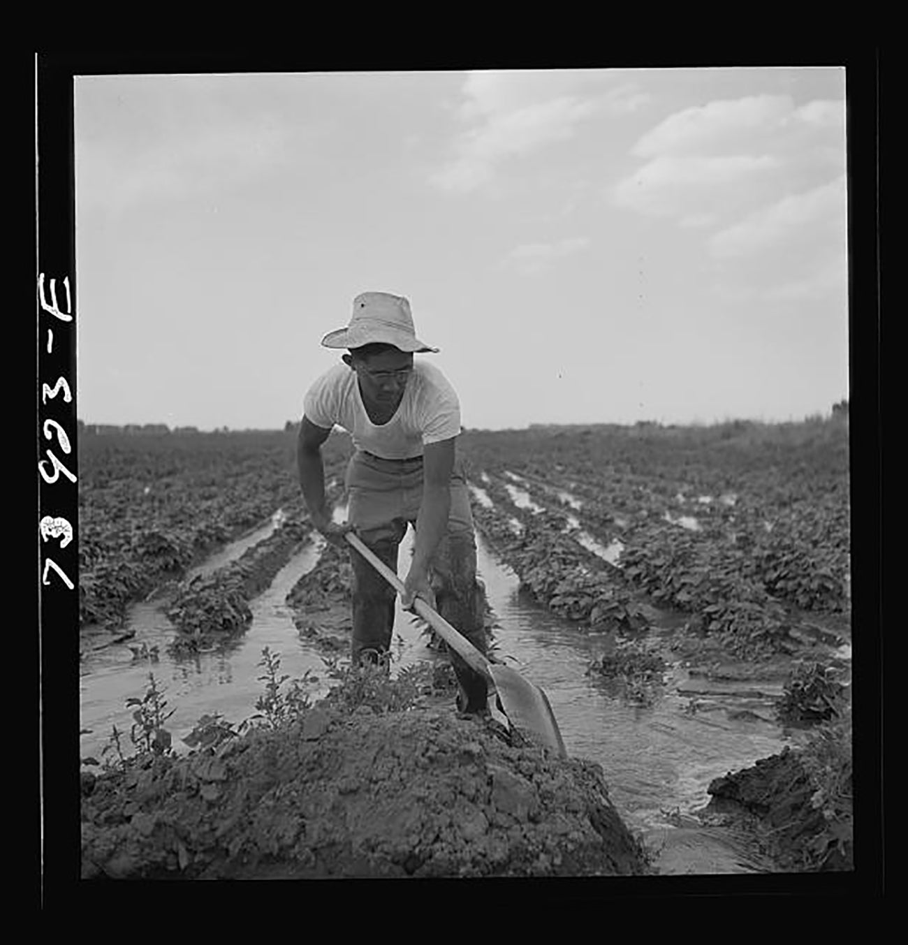 farmer
