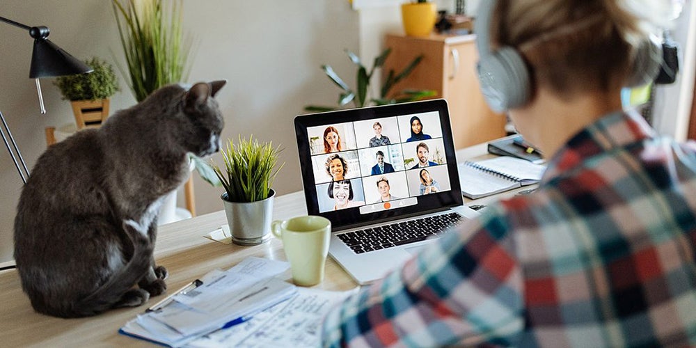 Person video chatting on laptop with cat beside them, 8ight participants visible