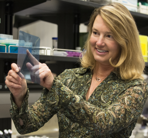 Cheryl Jorcyk in the lab photo