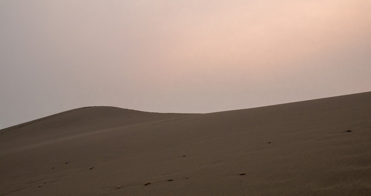 Bruneau Dunes