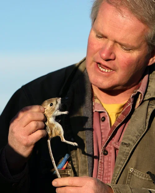 Eric holding an Ord's kangaroo rat.