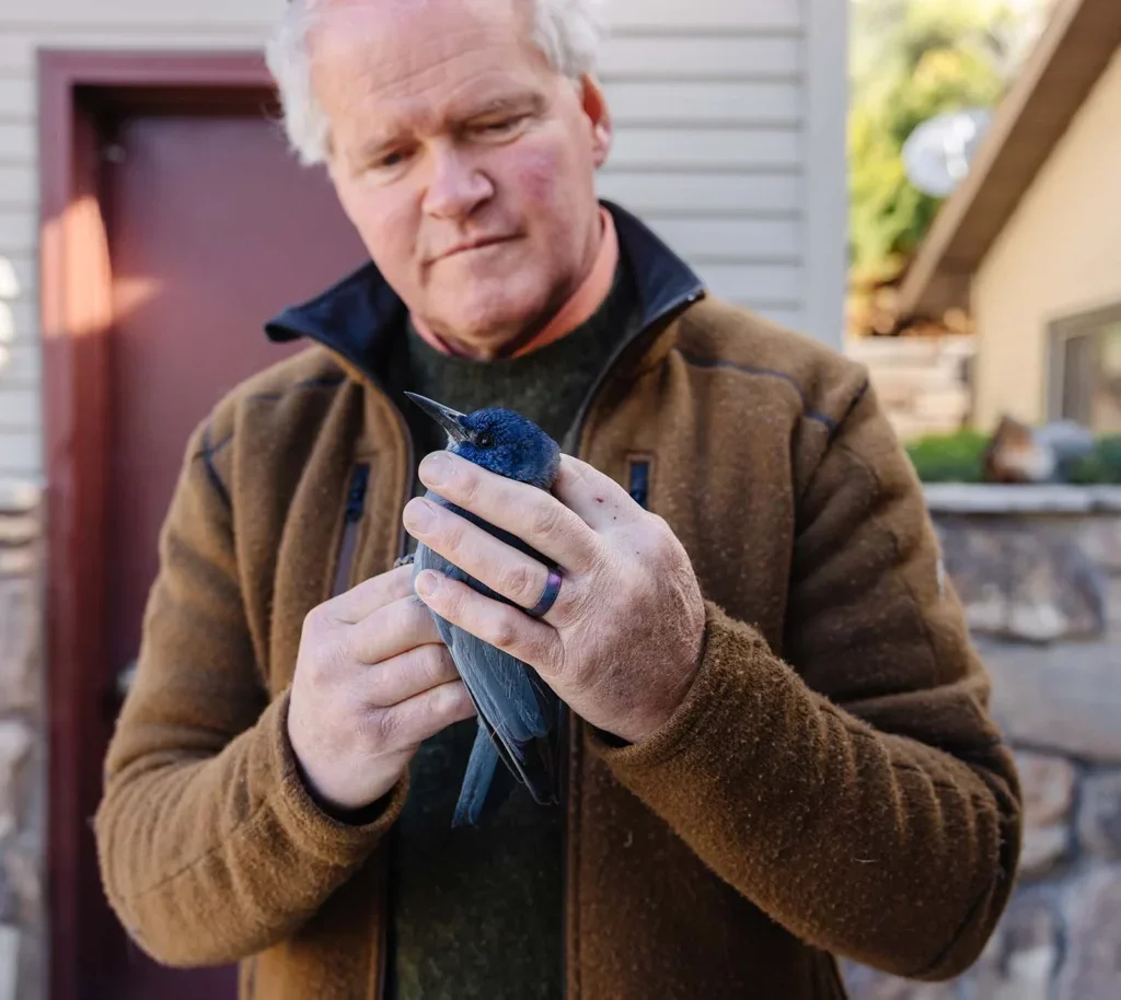 Eric Atkinson holding a pinyon jay