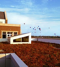 rooftop view of hot air balloons in the sky