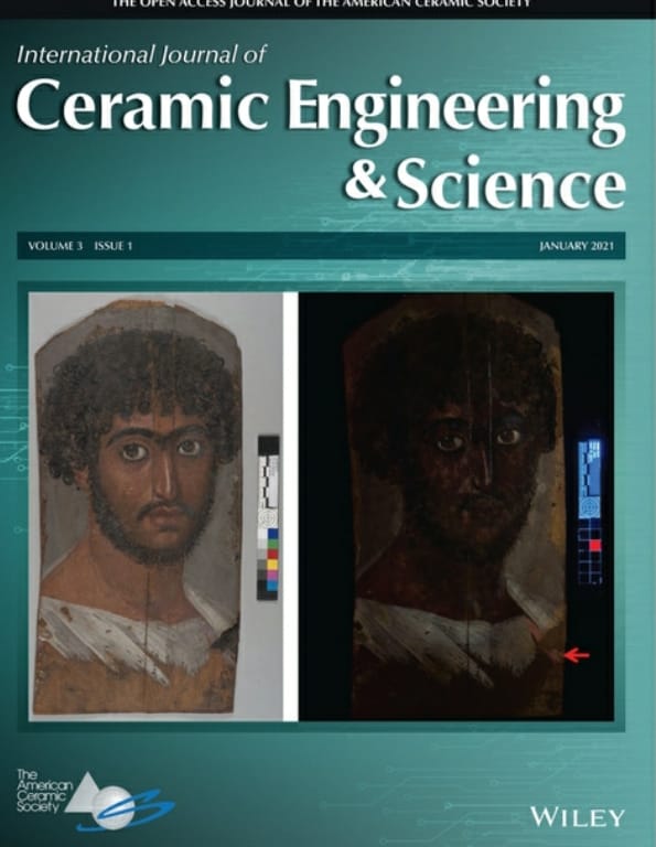 Journal cover highlighting the Faiyum mummy portrait work