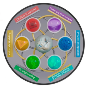 A circular diagram with seven interconnected sections illustrating the relationship between the represented fields.