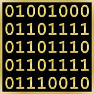 The symbol of The Pledge of the Computer Professional which is a matrix with the word “Honor” encoded in ASCII. The background of the matrix is black, the digits are in gold. The purpose of the symbol is to remind the inductee to always honor their profession through their actions.