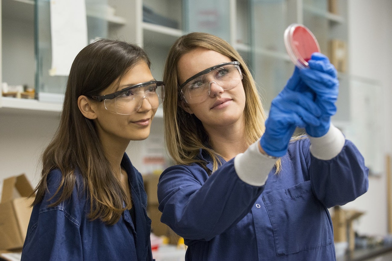 students of plasma engineering