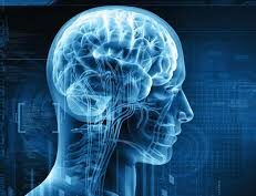 human profile with view of brain
