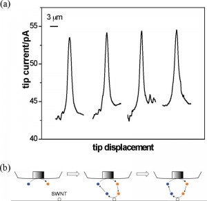 Scanning Electrochemical Microscopy of Individual Single-Walled Carbon Nanotubes