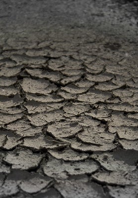 Basin-Scale