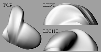 #3D model of a mouse with different view points