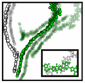 Digital model of molecules