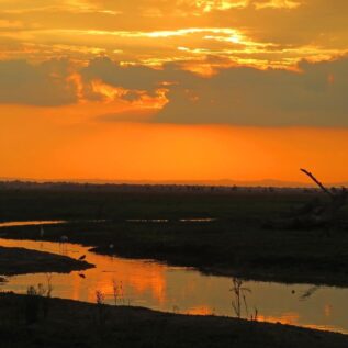 sunset over an African landscape