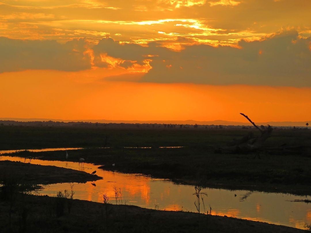 sunset over an African landscape