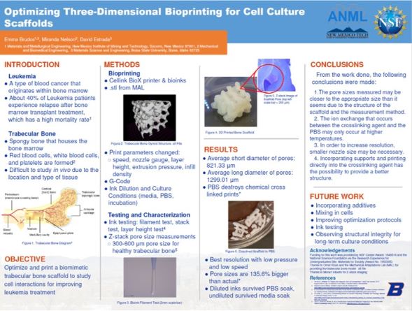 Poster by Emma Brudos