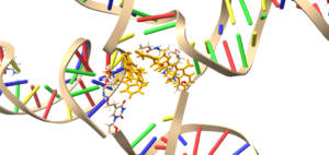 DNA structure graphic.