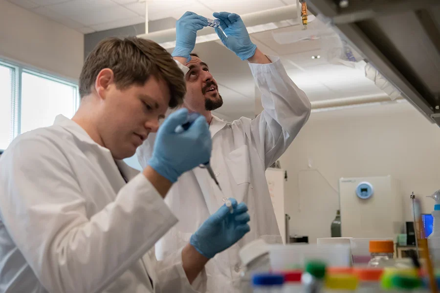 Two scientists studying in a lab