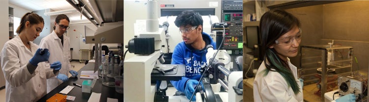 Undergraduate lab montage