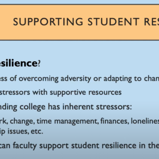 Supporting Student Resilience text image