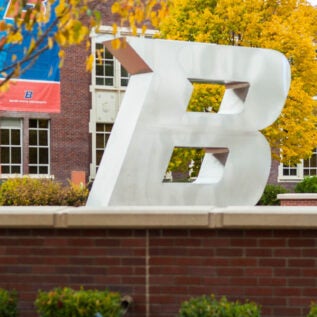The 