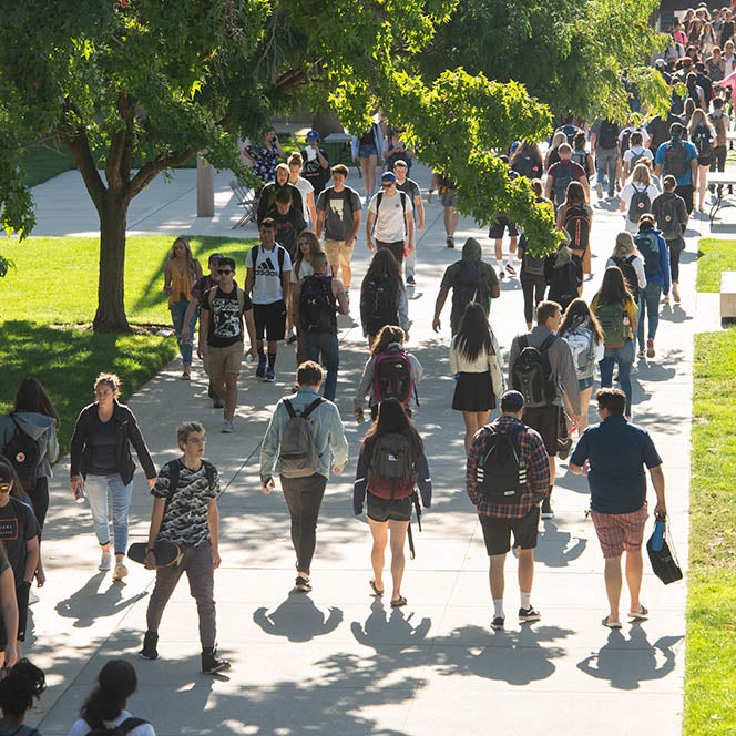 Students walk along pathway