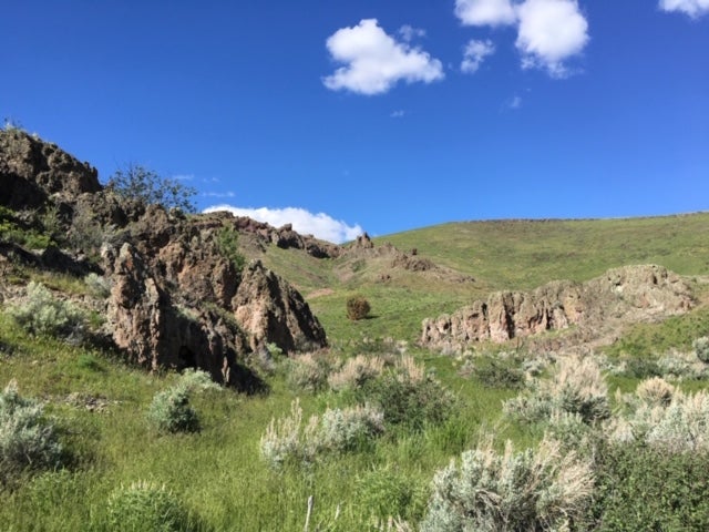 Reynolds Creek Rhyolite