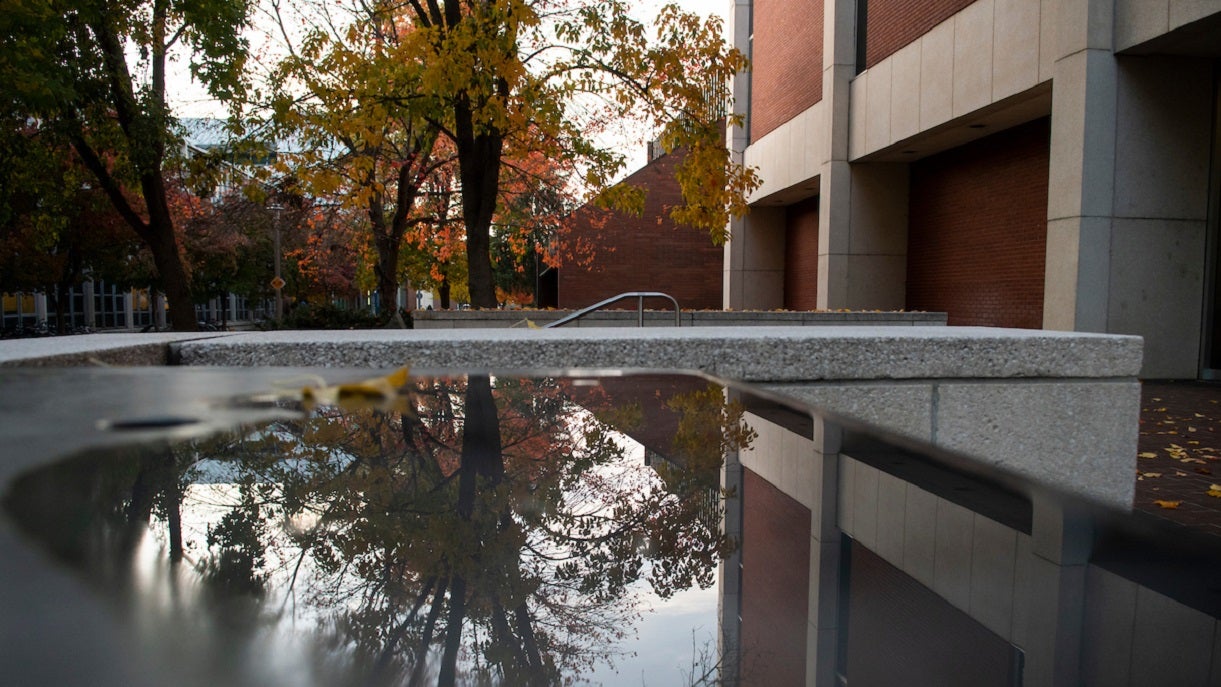 Photo of a tree on campus and it's reflection in a puddle of water. 