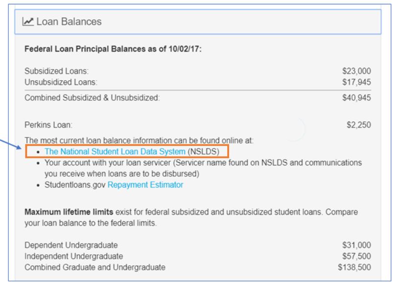An example of what your Loan Balances may look like