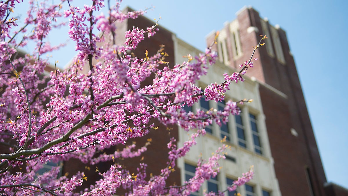 Spring campus scenes, Brooke Sutton Photo
