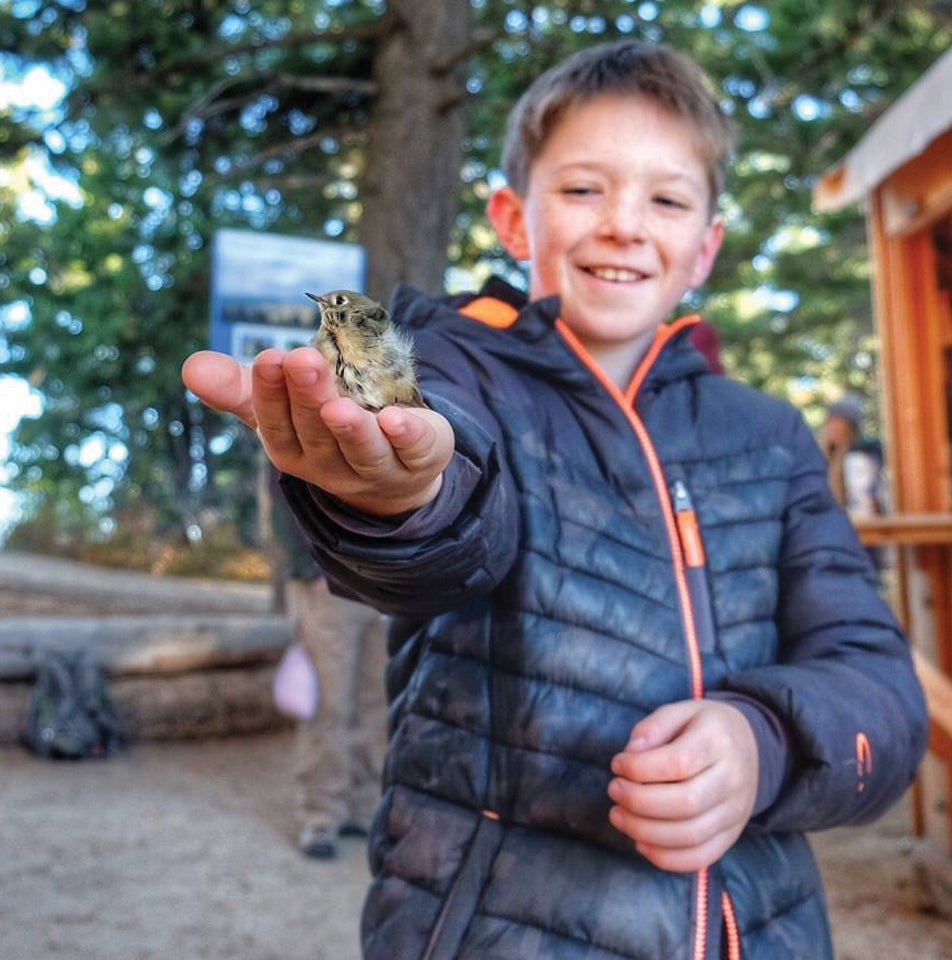 Boy with Bird in hand at IBO on the river