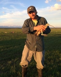 Jay Carlisle holding a long billed curlew in the field