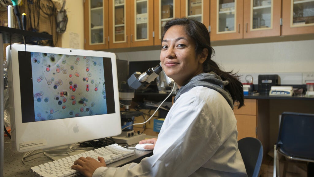 Student doing research in lab