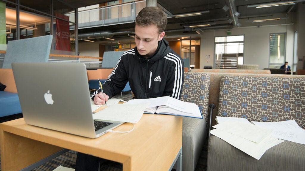 Picture of student studying