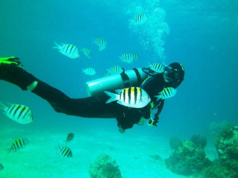 Diving with sargent majors