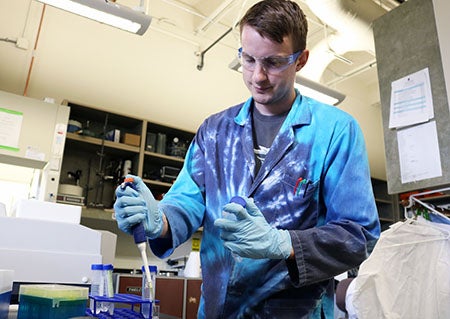 Students working in lab